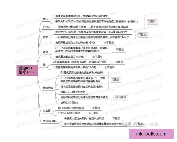 MK体育登录入口全面指南助你轻松掌握赛事资讯与账户管理技巧